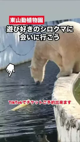 WINGのTikTok投稿