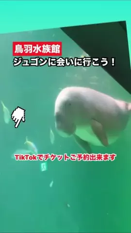 WINGのTikTok投稿