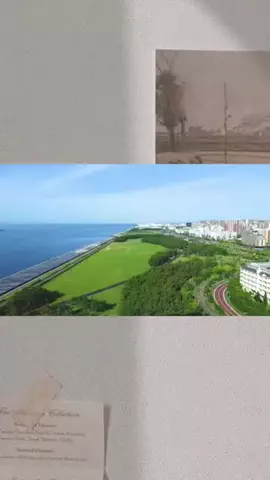 Hi_Na_NoのTikTok投稿