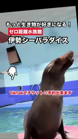 WINGのTikTok投稿