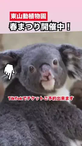 WINGのTikTok投稿