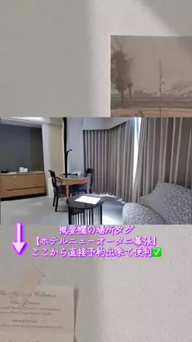 Hi_Na_NoのTikTok投稿