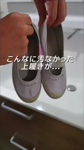 しんしんの正直レビューのTikTok投稿