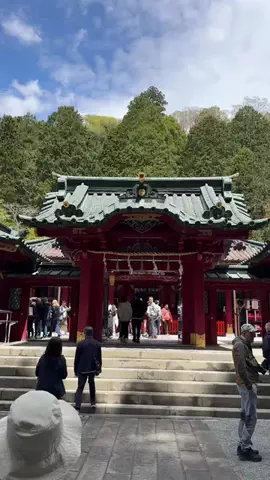 ともみんの大人旅のTikTok投稿