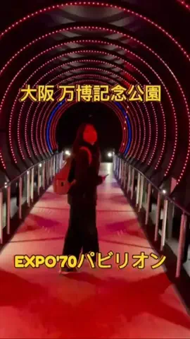 ひといのTikTok投稿