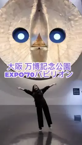 ひといのTikTok投稿
