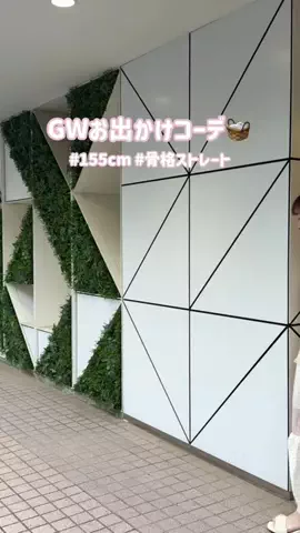risaのTikTok投稿