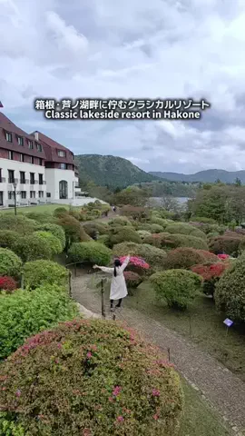 ともみんの大人旅のTikTok投稿