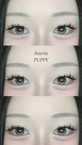 퀸くいんのTikTok投稿