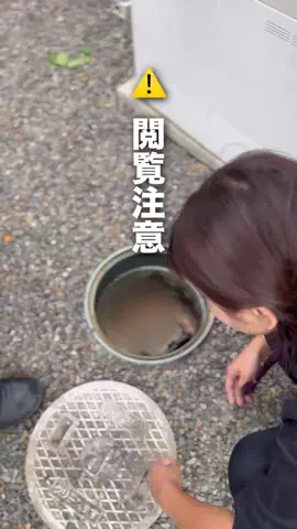 はやて【滋賀子連れお出かけアカウント】のTikTok投稿