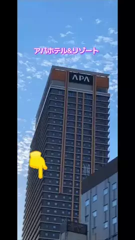 高齢乙女のTikTok投稿