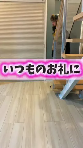 みぃたつ夫婦🌼*･のTikTok投稿