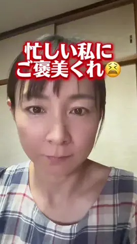 ポンコツらいすのTikTok投稿