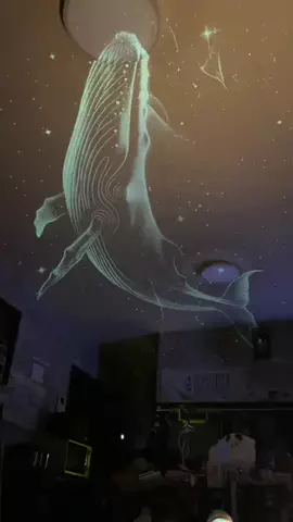 まゆち💊👽紹介マンのTikTok投稿