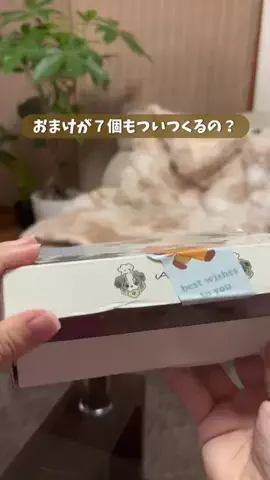 Amiy｜おすすめレビューのTikTok投稿
