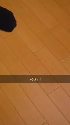 ジン店長だよ👘🎆のTikTok投稿