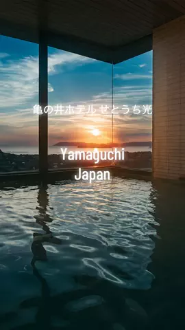 JPN旅人のTikTok投稿