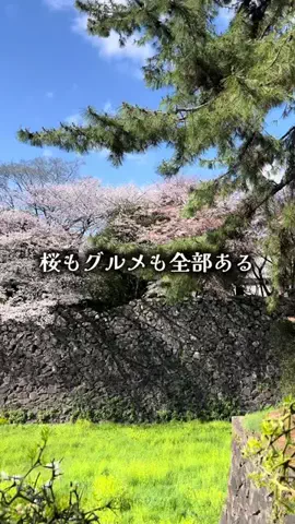 ゆっっっっき。｜疲れた大人、ここ行このTikTok投稿