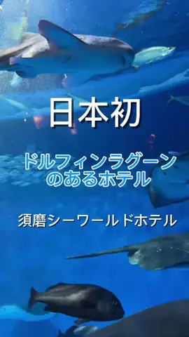 etsuko888のTikTok投稿