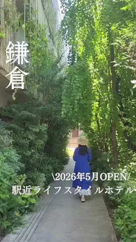 うひひの日。のTikTok投稿