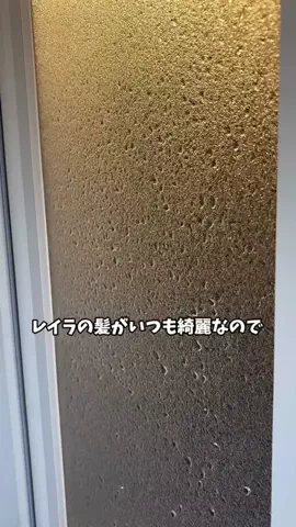 レイラ🌙（laila）のTikTok投稿