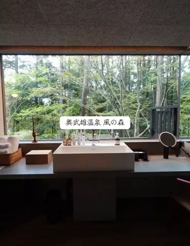 ホカンス日記 🌿のTikTok投稿