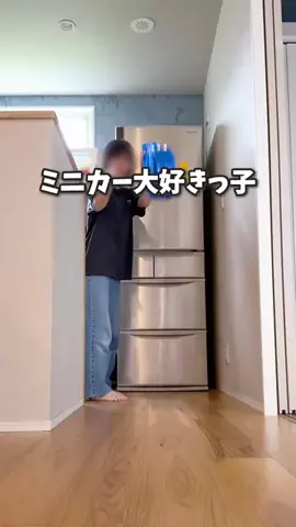 しゃちのTikTok投稿