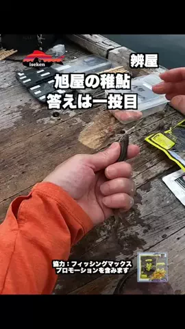 伊勢志摩つりとも研究所のTikTok投稿