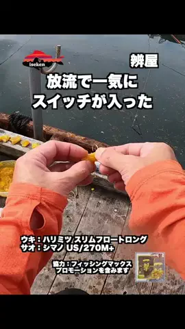 伊勢志摩つりとも研究所のTikTok投稿