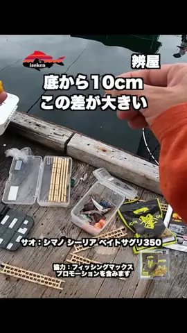 伊勢志摩つりとも研究所のTikTok投稿