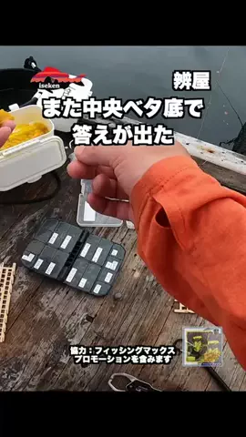 伊勢志摩つりとも研究所のTikTok投稿