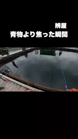 伊勢志摩つりとも研究所のTikTok投稿