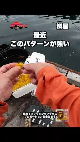 伊勢志摩つりとも研究所のTikTok投稿