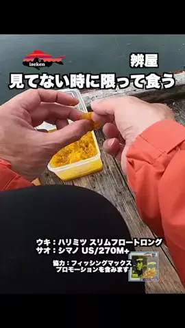 伊勢志摩つりとも研究所のTikTok投稿
