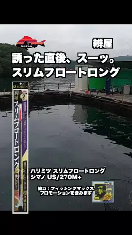伊勢志摩つりとも研究所のTikTok投稿