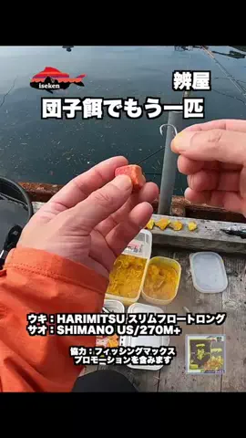 伊勢志摩つりとも研究所のTikTok投稿