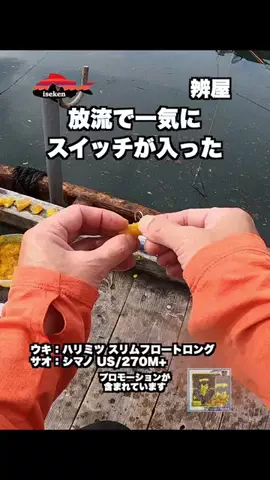 伊勢志摩つりとも研究所のTikTok投稿