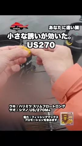 伊勢志摩つりとも研究所のTikTok投稿