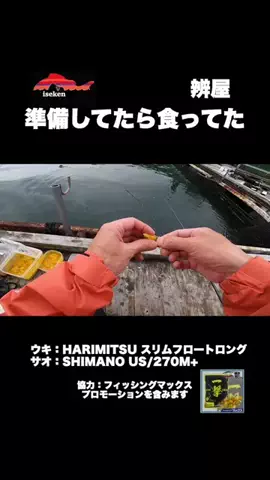 伊勢志摩つりとも研究所のTikTok投稿