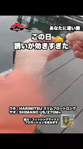 伊勢志摩つりとも研究所のTikTok投稿