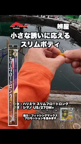 伊勢志摩つりとも研究所のTikTok投稿
