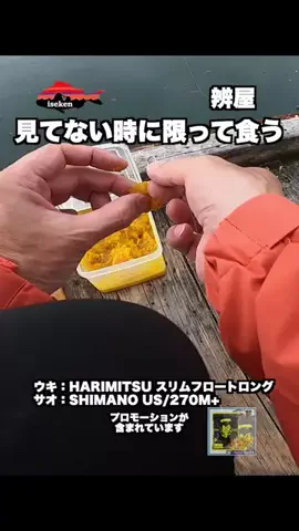伊勢志摩つりとも研究所のTikTok投稿