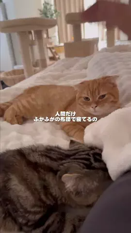 みるココ成長日記のTikTok投稿