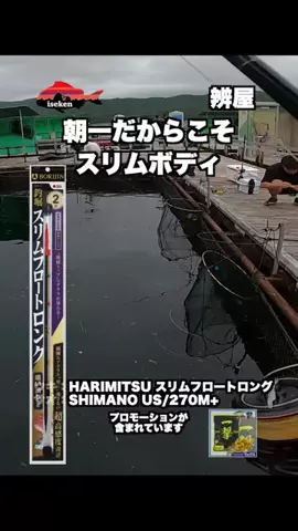 伊勢志摩つりとも研究所のTikTok投稿