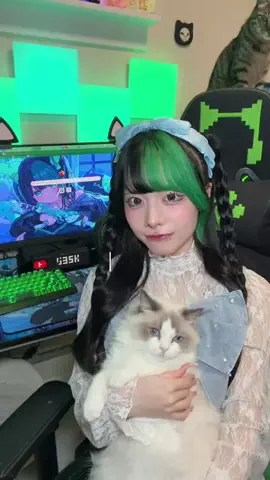 ゆら猫💚🐈‍⬛のTikTok投稿