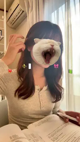 Chima │立教大学女の日常⚜️のTikTok投稿