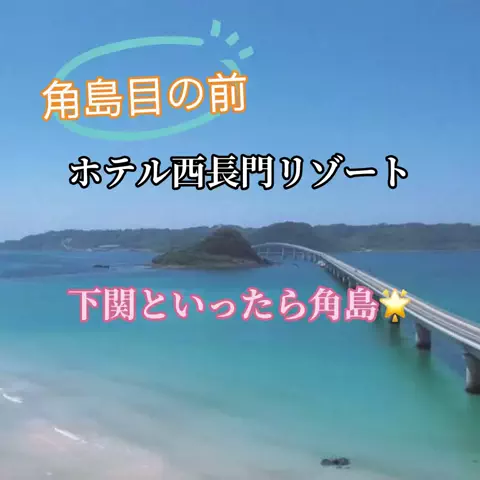 ☘️えりんこ☘️👽のTikTok投稿