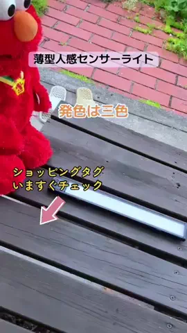 すずめのTikTok投稿