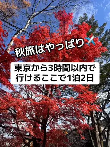 37歳おっさん旅垢のTikTok投稿