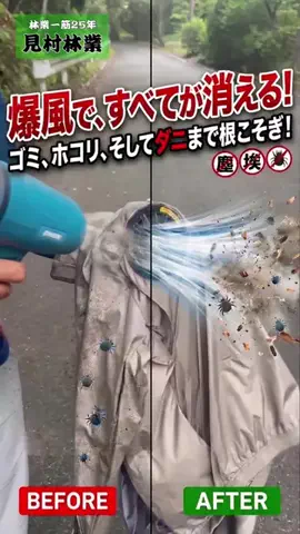 見村林業のTikTok投稿